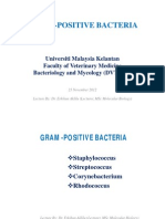 GRAM-POSITIVE BACTERIA LECTURE