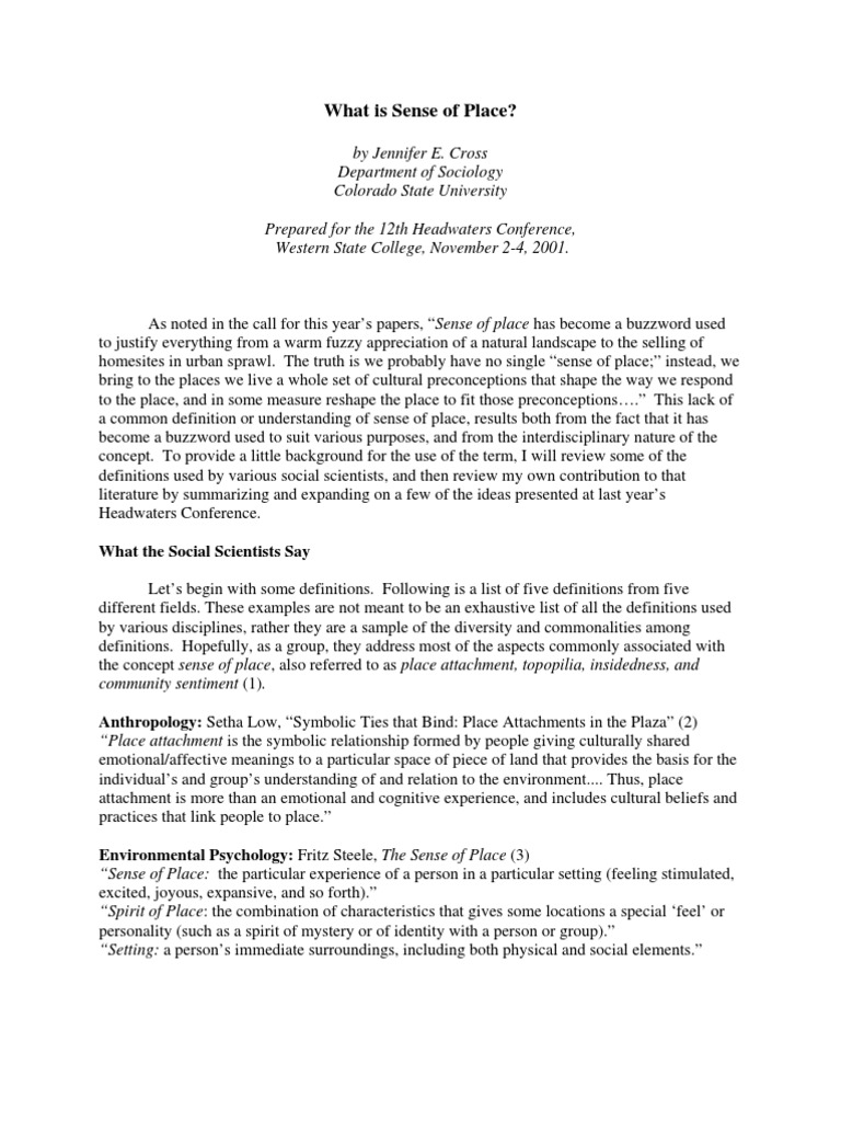 Understanding Sense of Place | PDF | Attachment Theory | Feeling