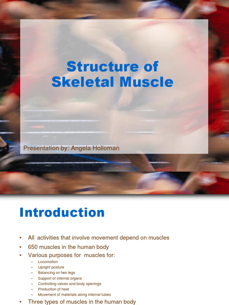 Structure and Function of Skeletal Muscle | PDF | Actin | Muscle