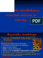 Structura bacteriilor