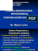 Cadena Respiratoria Fosforilacion