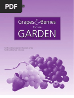 Grapes & Berries for the Garden