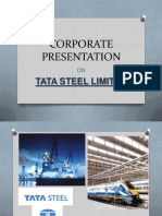 Financial Statement Presentation On Tata Steel