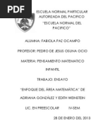 Ensayo Enfoque Del Area Matematica
