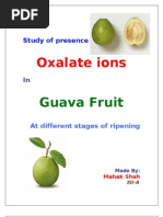 Download ChemistryProject by Mahak Shah SN122996859 doc pdf