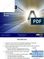 Model Multiphase Flows PDF