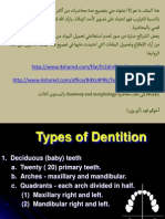 Anatomy and Morphology of The Tooth