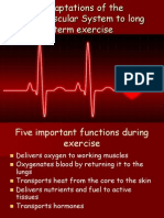 Adaptations of The Cardivascular System To Long Term