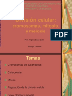 Cromosomas, Mitosis y Meiosis