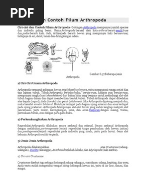 Ciri Ciri Dan Contoh Filum Arthropoda