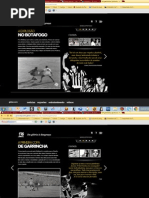 30 Anos Sem Garrincha