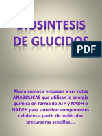 Biosintesis de Glucidos