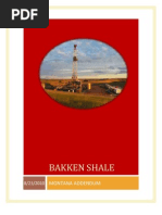 Bakken Shale Montana