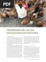 Programa de Luz