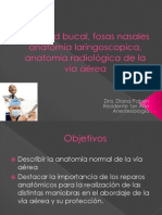 Anatomia de La VA