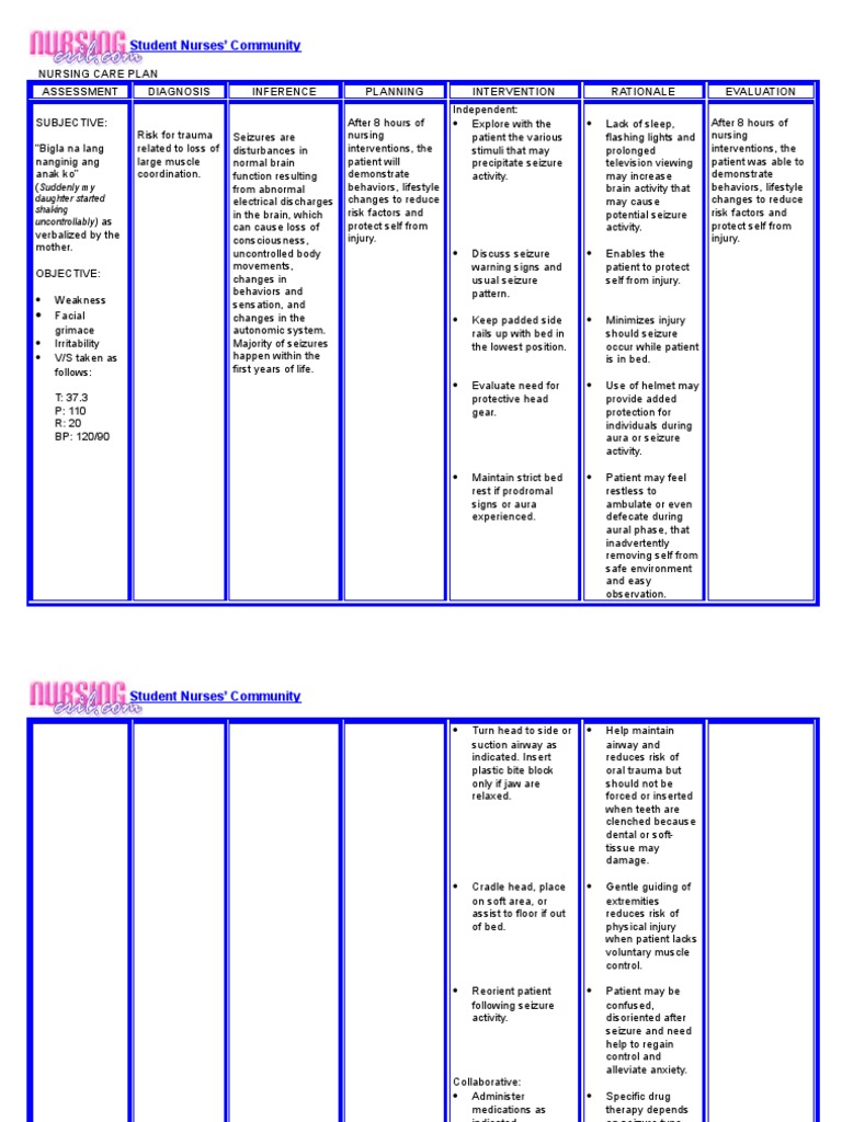 NURSING CARE PLAN Seizure Nursing Risk