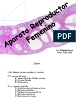 Reproductor Femenino