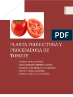 Planta Procesadora de Pure de Tomate