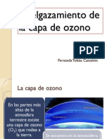 Adelgazamiento de La Capa de Ozono