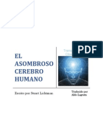 BONO-El Asombroso Cerebro Humano