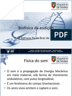 Biofisica Da Audicao