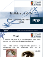 Biofisica Da Visao