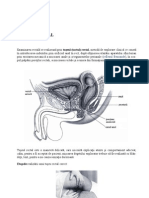 Tuseul Rectal