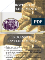 O Processo de Envelhecimento