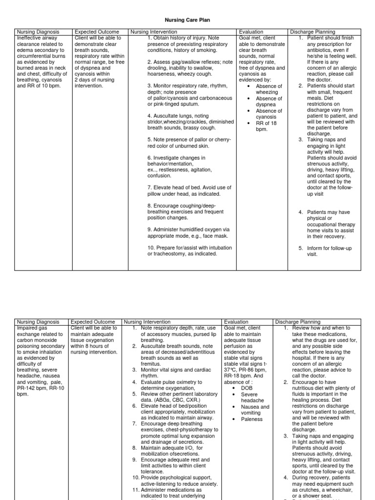 Nursing Care Plans For Burned Patient | PDF | Breathing | Burn