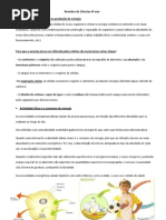 Ciências 6ºano sistema urinário