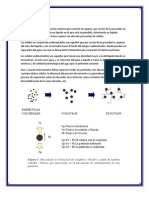 Sedimentadores Inv