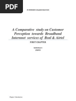 A Comparative Study On Customer Perception Towards Broadband Internnet Services of BSNL & Airtel