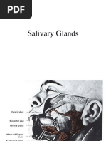 Salivary Gland