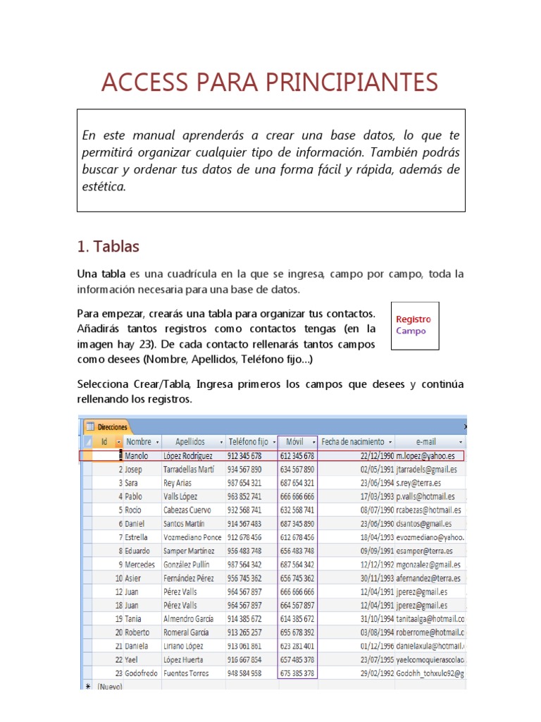 Manual Básico de Access para Principiantes | PDF | Tabla (base de datos ...