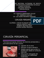 22925989-Cirugia-Apical