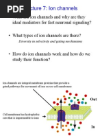 Biochemistry and Histocytochemistry Research Developments