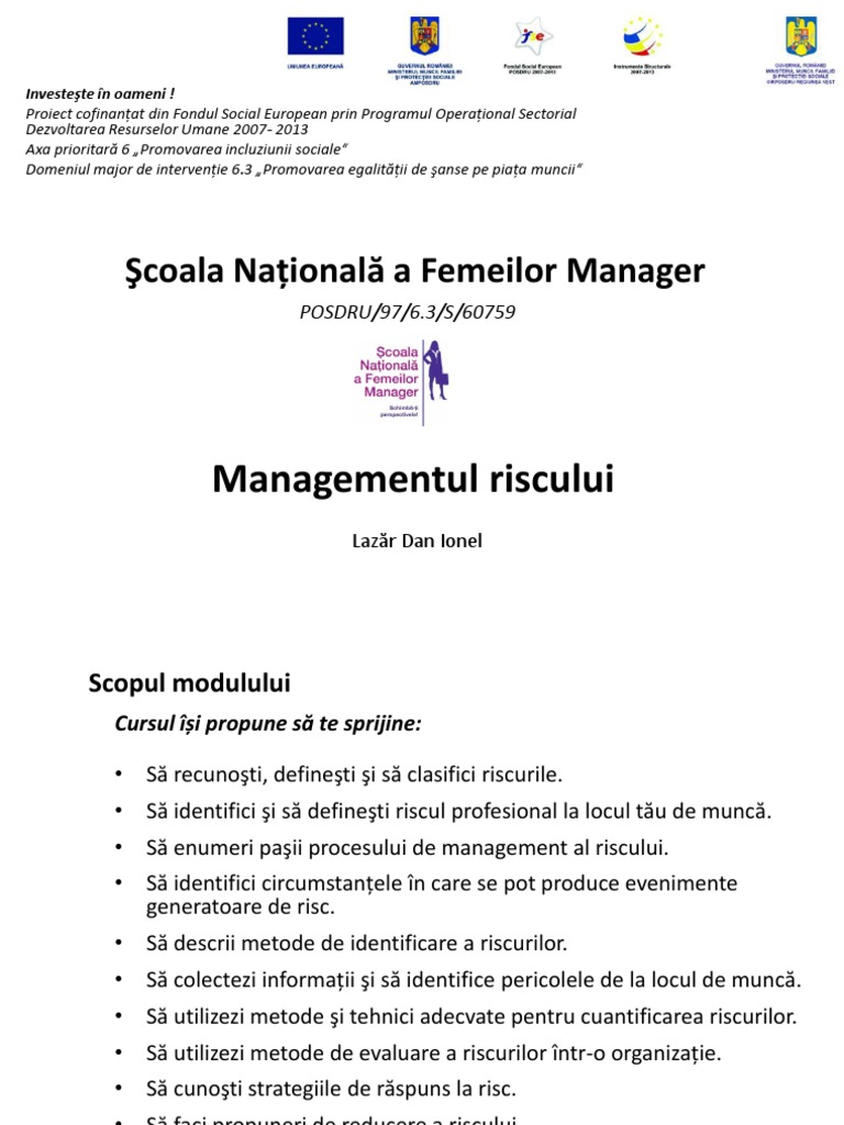 Managementul Riscului | PDF