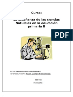 Trabajo Final de Carmen