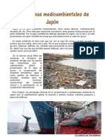 Problemas Ambientales de Japón PDF