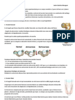 Anomalías torsionales