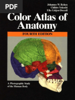 Download Color atlas of anatomy by Xi Shi SN123233885 doc pdf