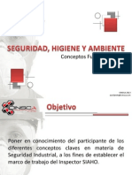 Conceptos Claves SIAHO PDF