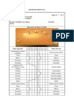 FORMATO_DIAGRAMA BIMANUAL