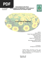 APOSTILA COMPLETA GIRASSOL