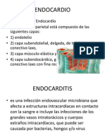 Endocardio