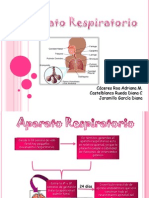 AP Respiratorio Embrio