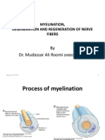 Degeneration and Regenration of Nerve Fibers by Dr. Roomi