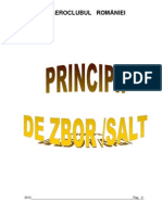 Principii de Zbor Salt