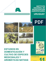 Aromaticas PDF