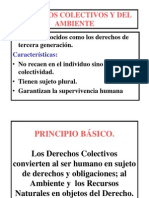 Derechos Colectivos y Del Medio Ambiente